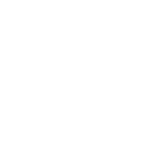 Borolex logo_