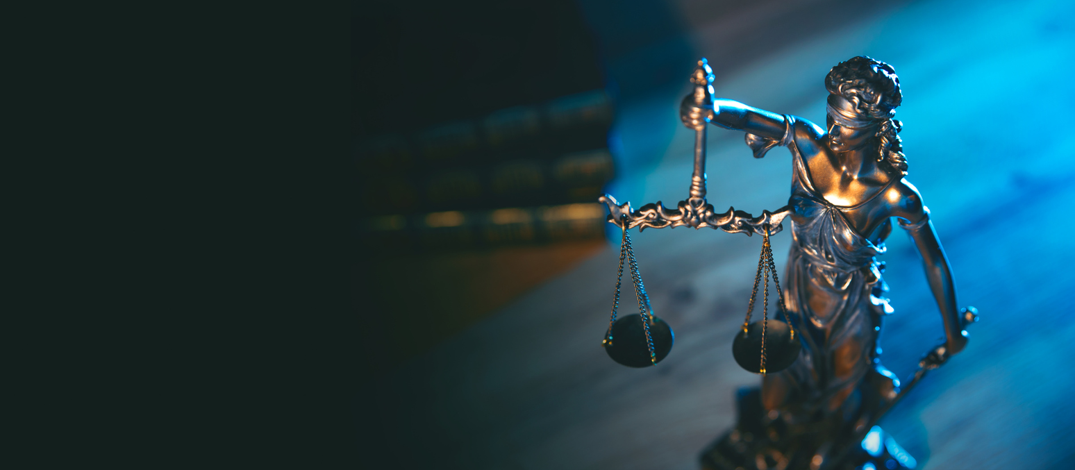 Crisis_Litigation