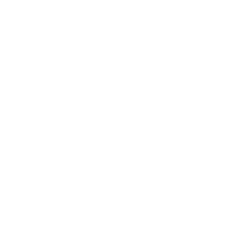 Triangle Life logo