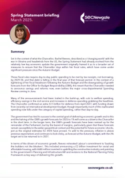 
            <div>Spring Statement Briefing 2025 </div>
      