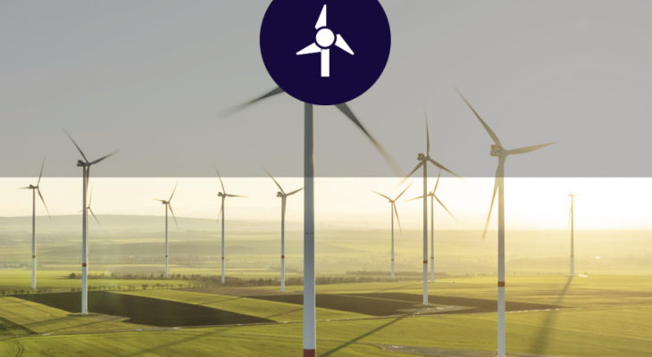 Wind farm general case study image