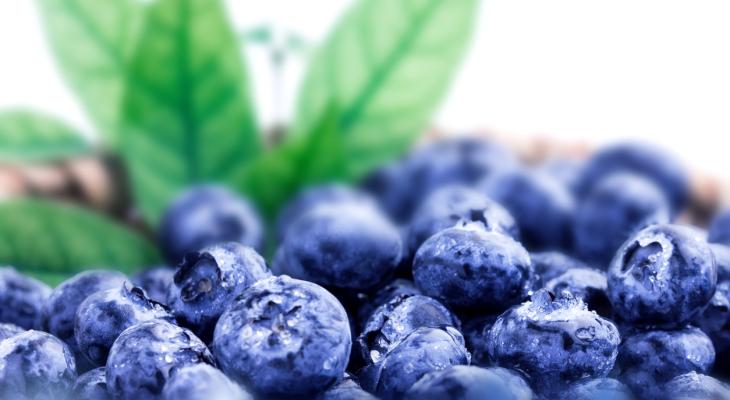 Blueberries Beneo