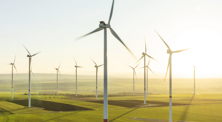 SEC Newgate Wind Farm Case Study general