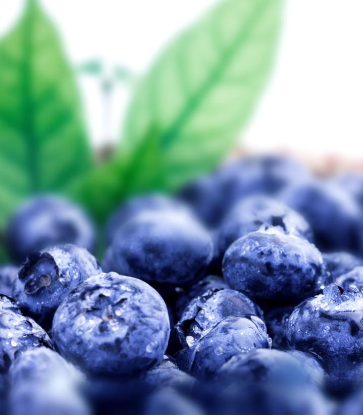 Blueberries Beneo