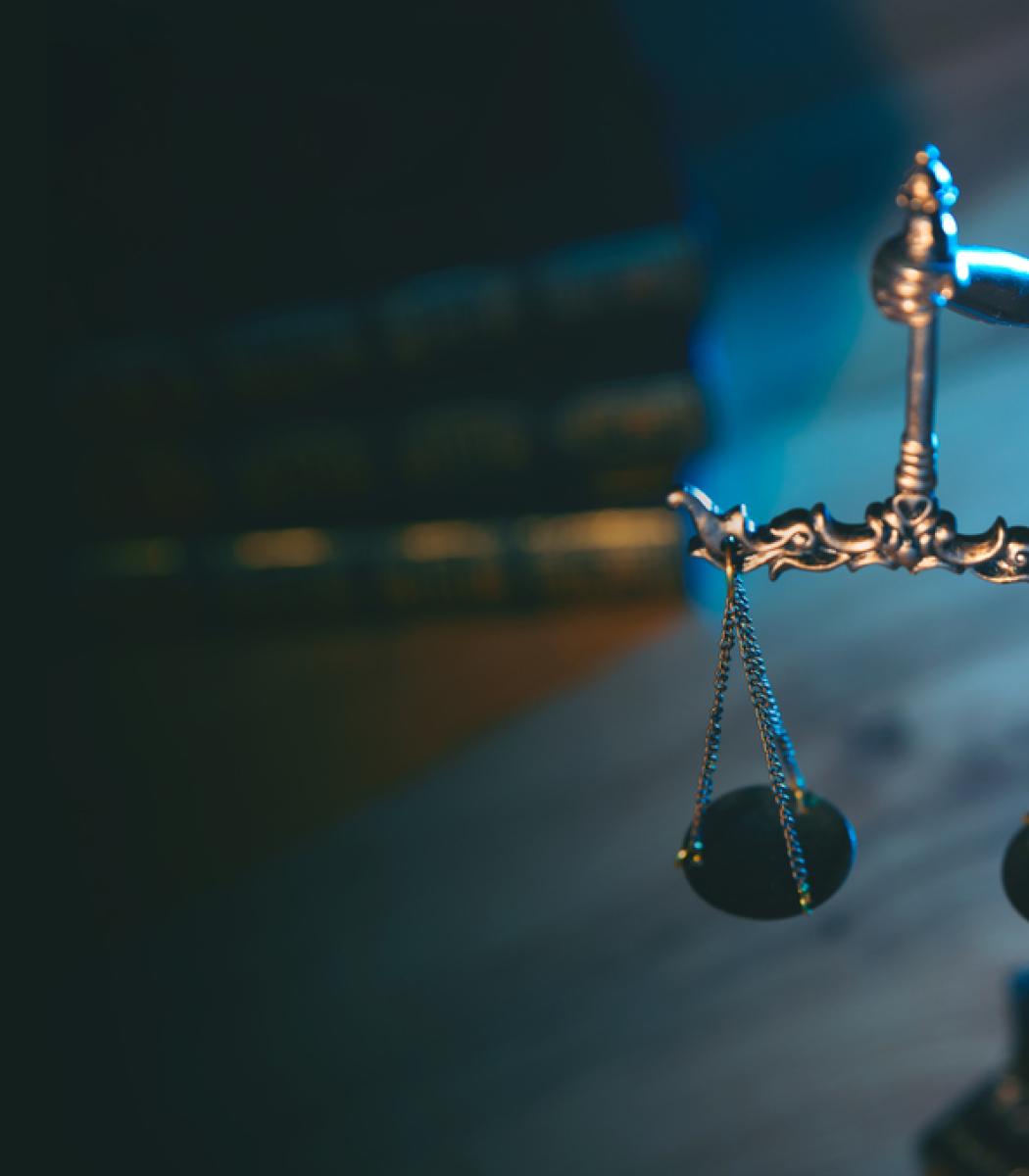 Crisis_Litigation