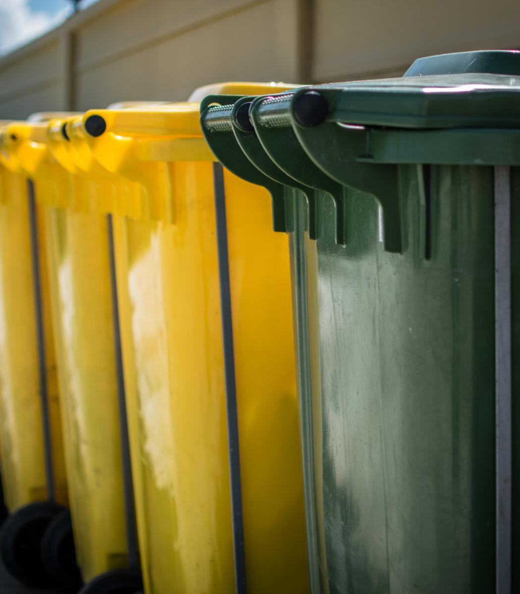 Line of waste bins