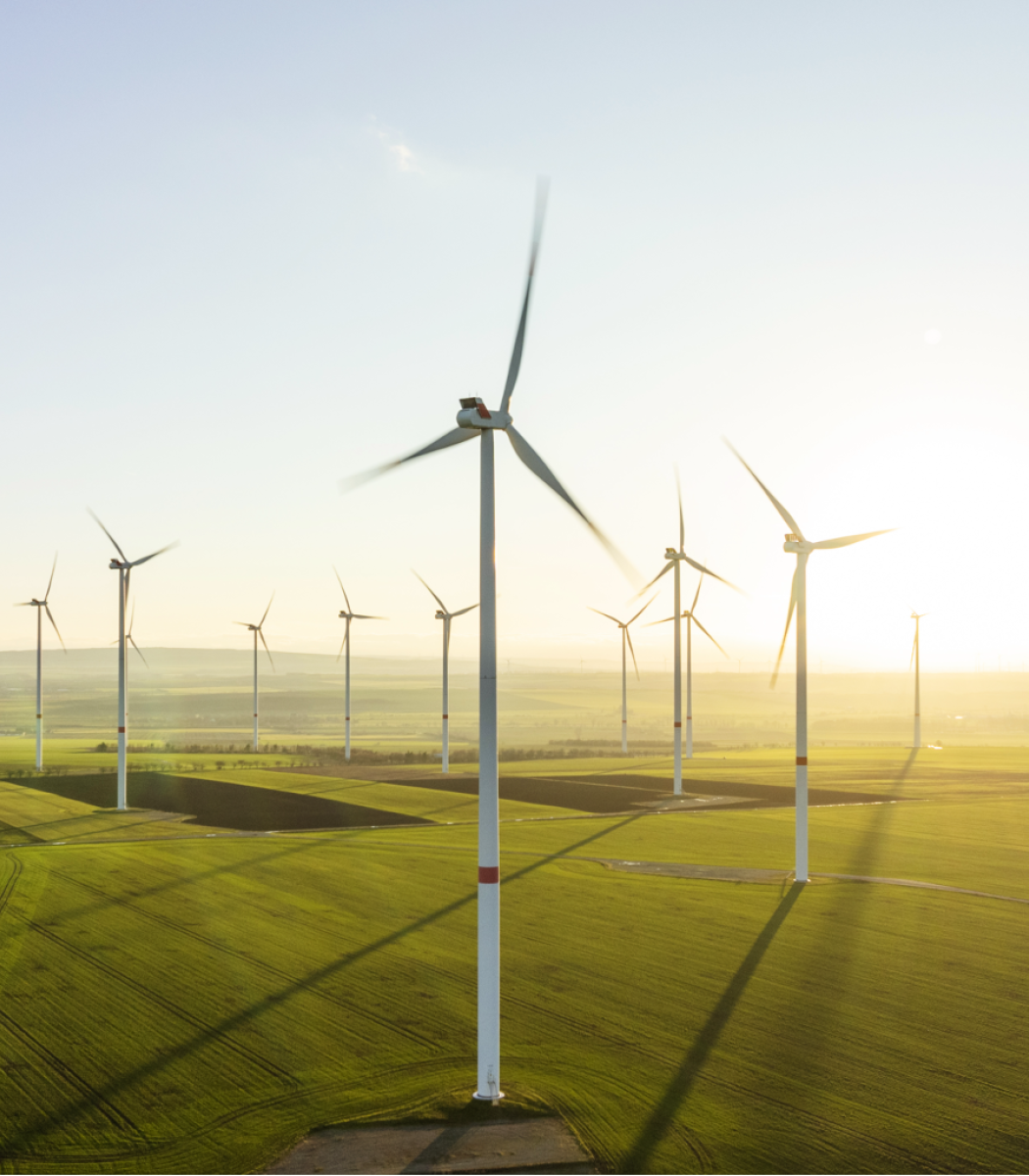 SEC Newgate Wind Farm Case Study general