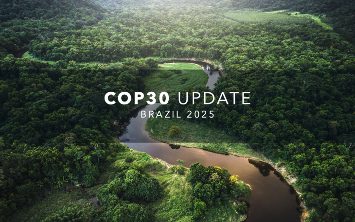 rain forest, river, Brazil