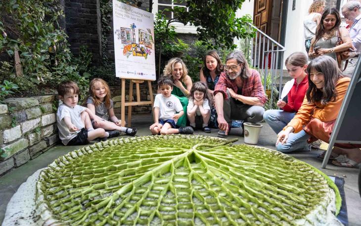 lily pad