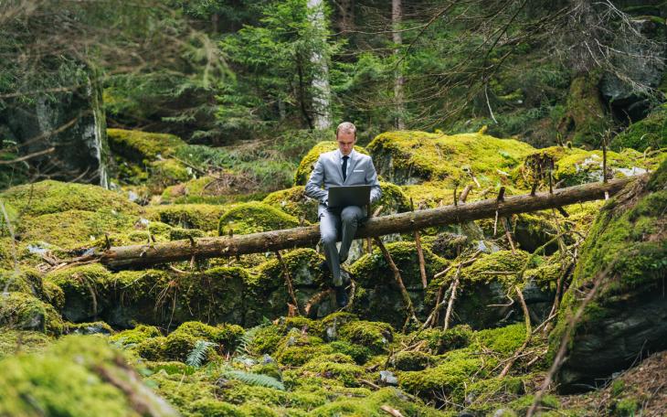 businessman working in forest