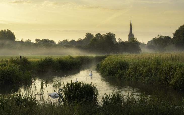 cotswold
