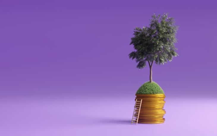 money tree