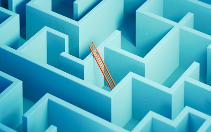 ladder in maze