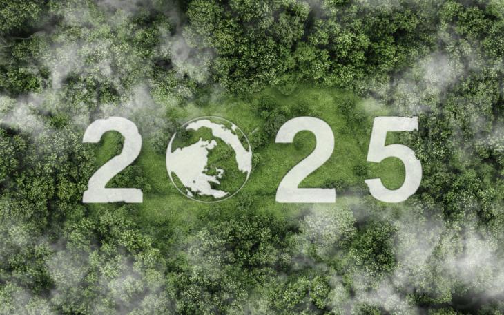 Shot of '2025' from earth