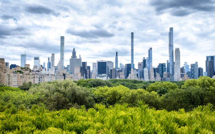 NYC from Central Park