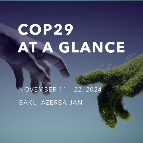 cop29