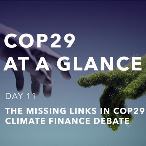 cop29 11