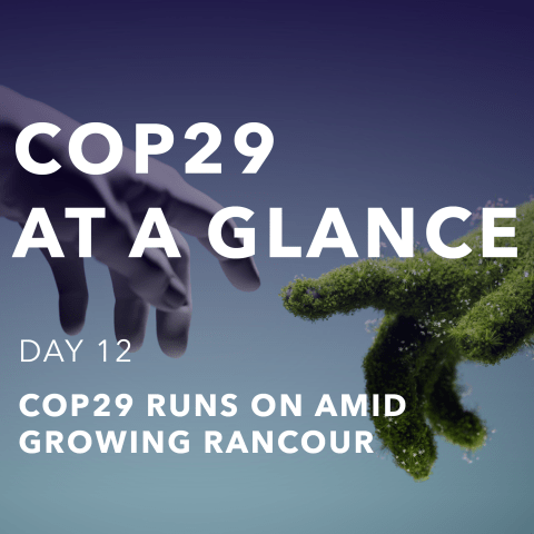 cop29