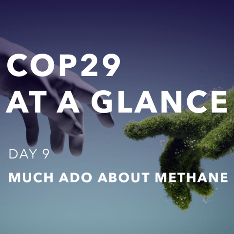 COP29
