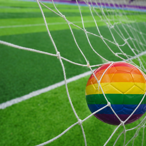 pride football int he back of a football net