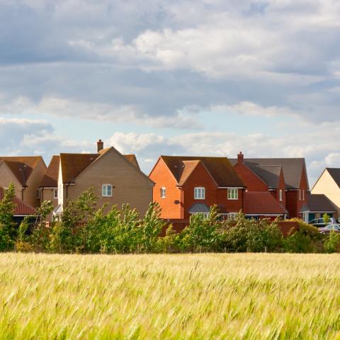 Homes on the green belt