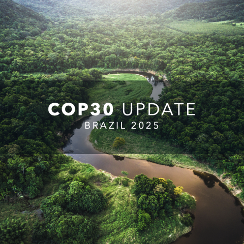 rain forest, river, Brazil