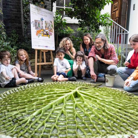 lily pad