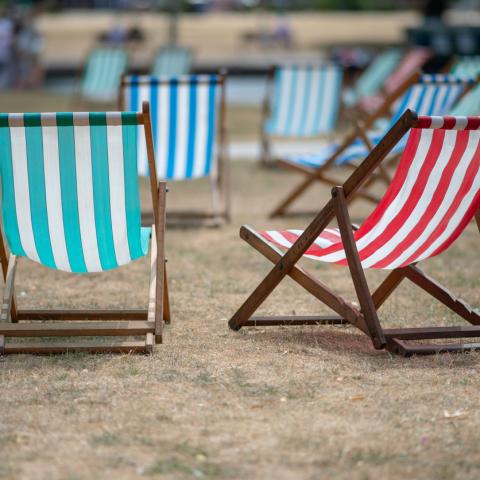 beach chairs on dry grass
