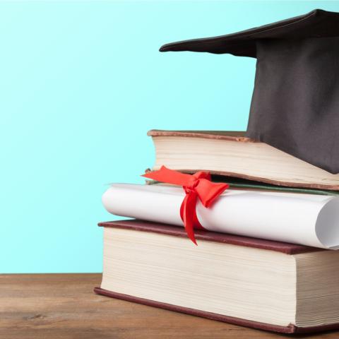 higher education 