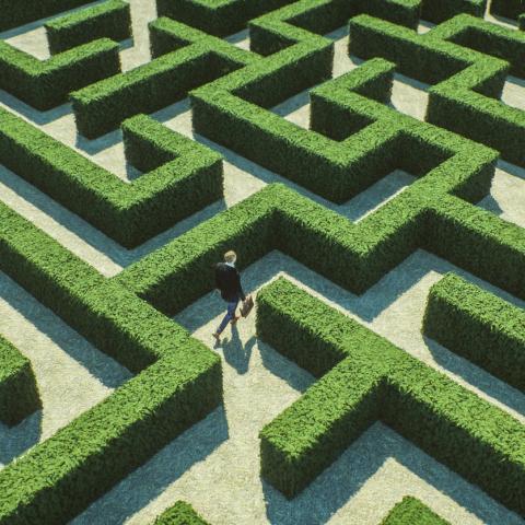 maze