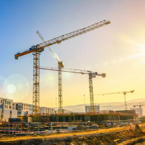 cranes