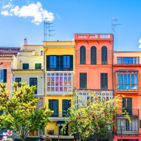 Palma