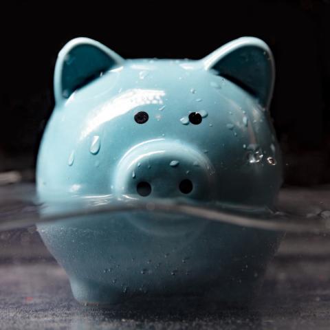 piggy bank in water