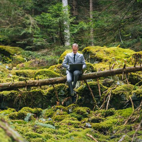 businessman working in forest