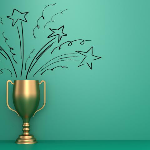 Award winning 