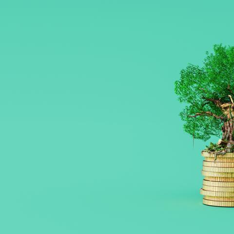 Private Markets