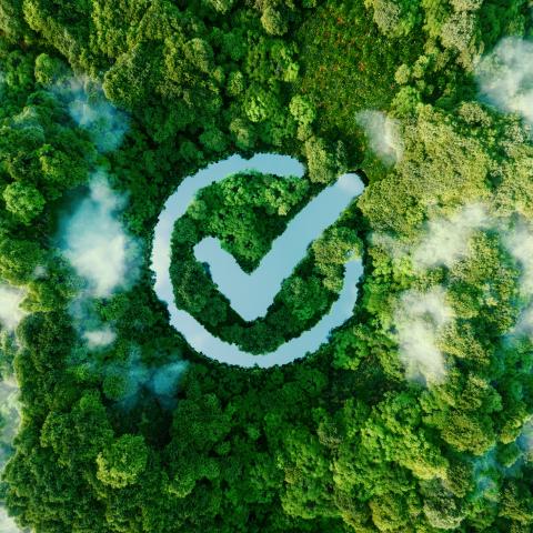 green & good 