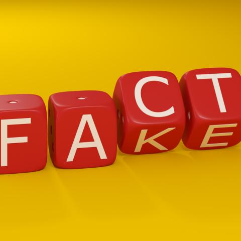 fact / fake red dice with white writing and yellow background