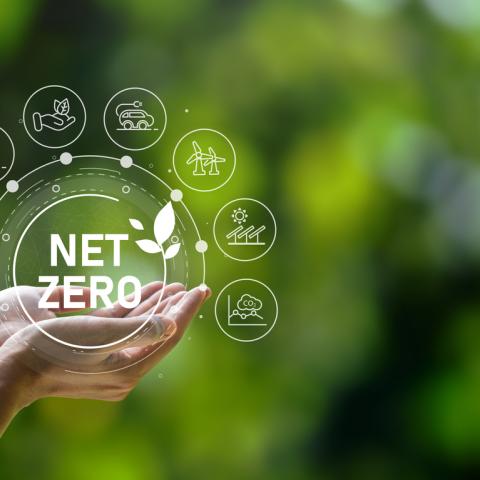 net zero