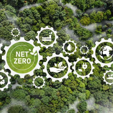 net zero
