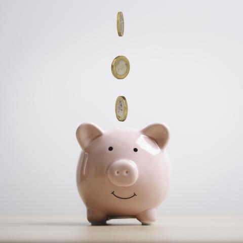 money and piggy bank
