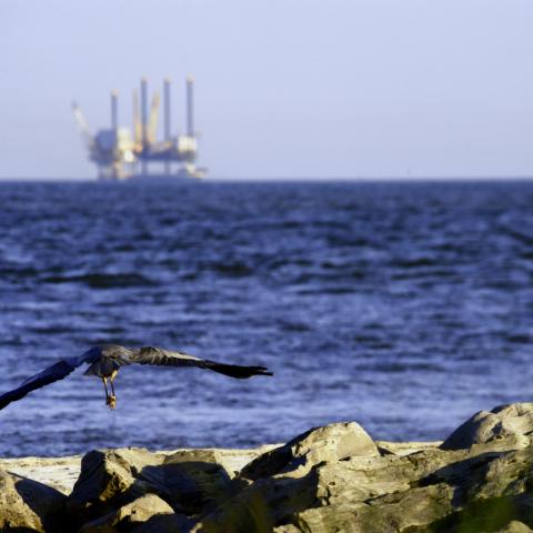 coast with gas field in the back