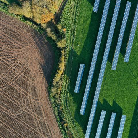 solar farm