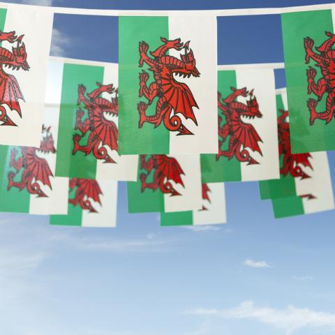welsh flag 