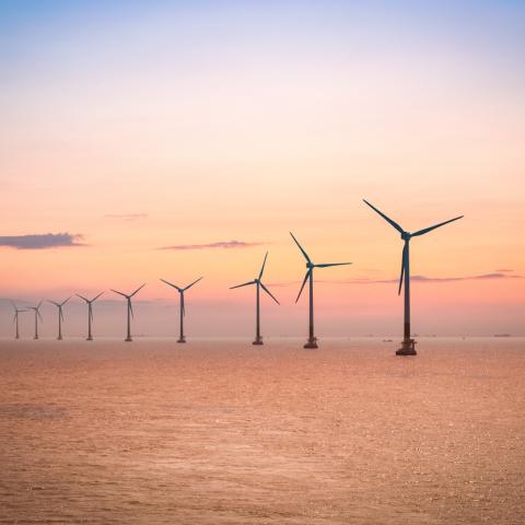 Offshore wind farm