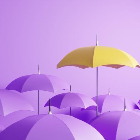 Yellow umbrella in a bunch of purple ones 