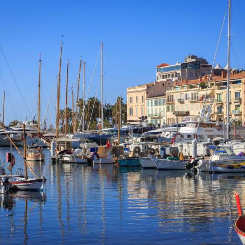 cannes harbour