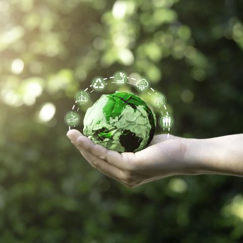 green economy
