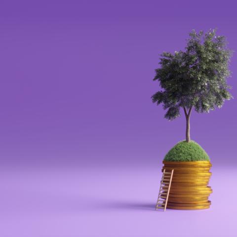 money tree
