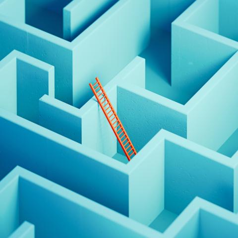 ladder in maze
